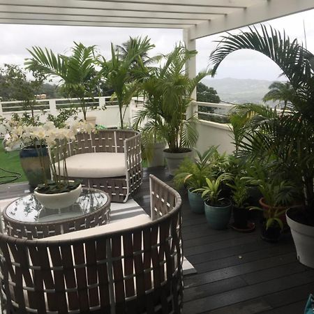 La Mariposa Bed & Breakfast Le Robert Dış mekan fotoğraf